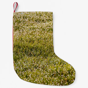 Petite Chaussette De Noël Arrière - plan d'herbe fraîche vert printemps, ave