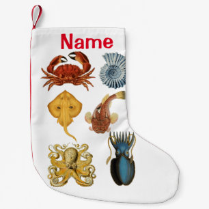 Petite Chaussette De Noël Association d'apaces de mer uniques Thunder_Cove
