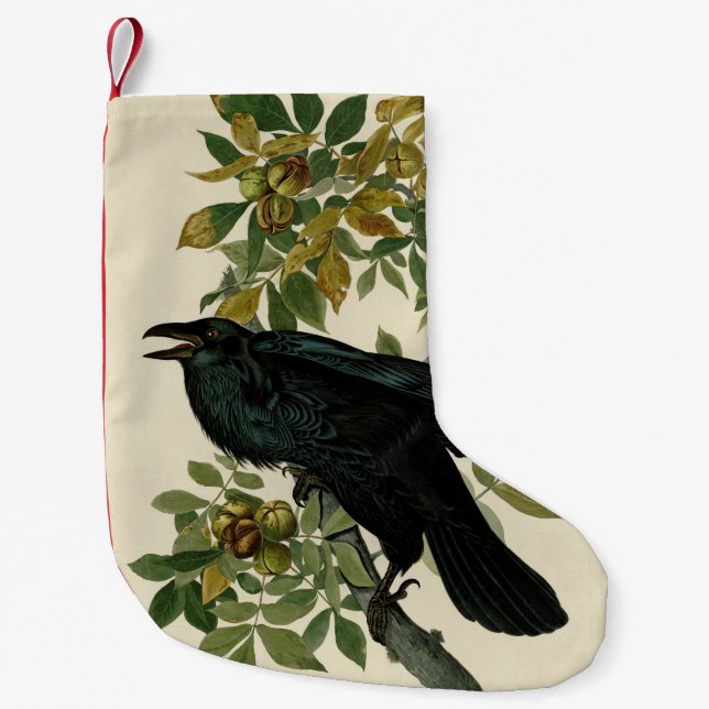 Petite Chaussette De Noël Audubon Raven Oiseau classique (Devant)