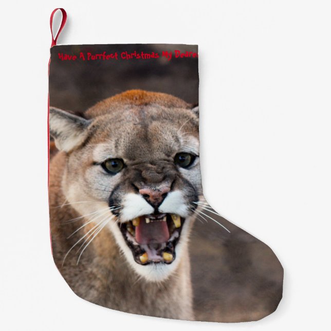 Petite Chaussette De Noël Avoir un Noël parfait (Devant)