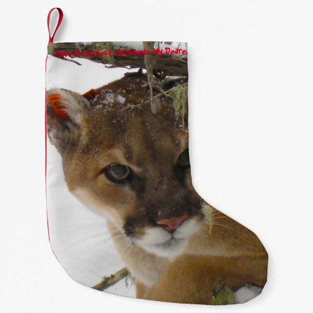 Petite Chaussette De Noël Avoir un Noël parfait (Devant)