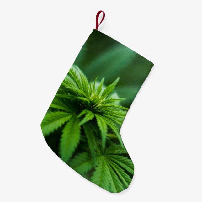 Petite Chaussette De Noël Belle mauvaise herbe (Devant (Accrochage))