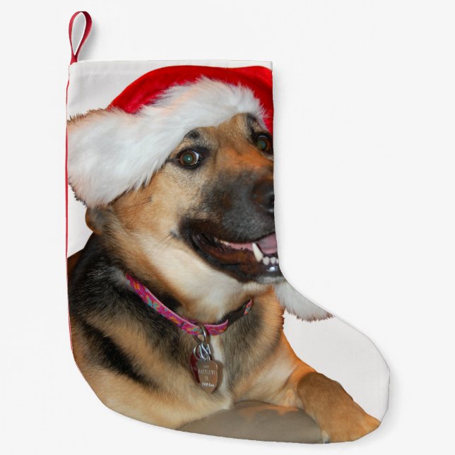 Petite Chaussette De Noël Berger allemand Père Noël (Devant)