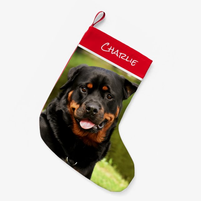 Petite Chaussette De Noël Boutique de Noël Rottweiler (Devant (Accrochage))