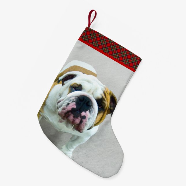 Petite Chaussette De Noël Bulldog Painting - Joli art original chien (Devant (Accrochage))