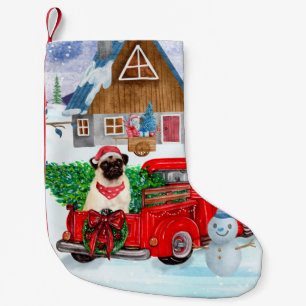 Petite Chaussette De Noël Carlin Chien dans la livraison de Noël Camion neig