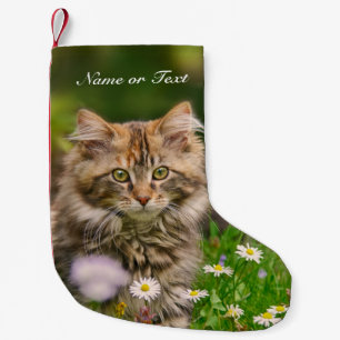 Petite Chaussette De Noël Chat mignon de chaton de ragondin du Maine -