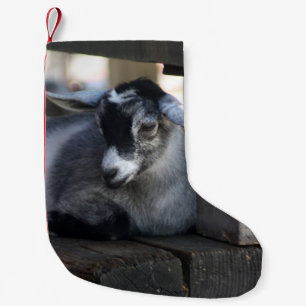 Petite Chaussette De Noël Chèvre