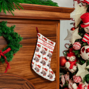 Petite Chaussette De Noël Chien sans cheveux mexicain race Étoiles de Noël