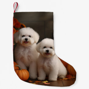 Petite Chaussette De Noël Chiot Bichon Frise Délice d'Automne Citrouille 