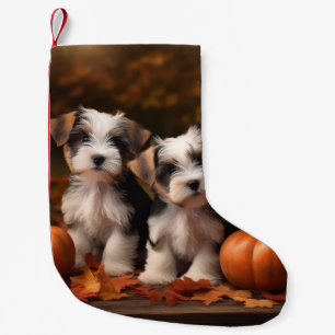 Petite Chaussette De Noël Chiots Biewer Terrier Automne Délice Citrouille