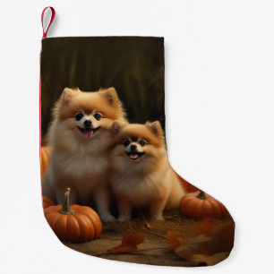 Petite Chaussette De Noël Chiots Poméranie Délice d'Automne Citrouille