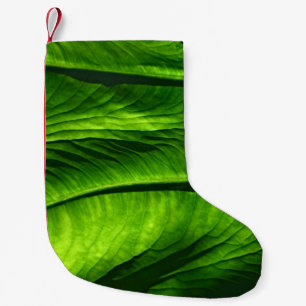 Petite Chaussette De Noël Closeup photo de la feuille verte