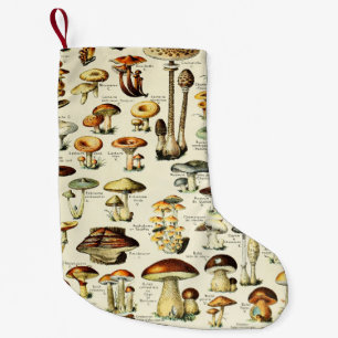 Petite Chaussette De Noël Cottagecore Champignons Naturaliste Vintage