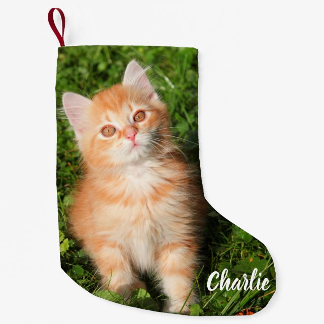 Petite Chaussette De Noël Cute Fluffé Orange Tabby Chat Kitten (Devant)