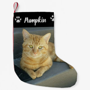 Petite Chaussette De Noël Cute Orange Tabby Chat Personnalisé Photo Animaux