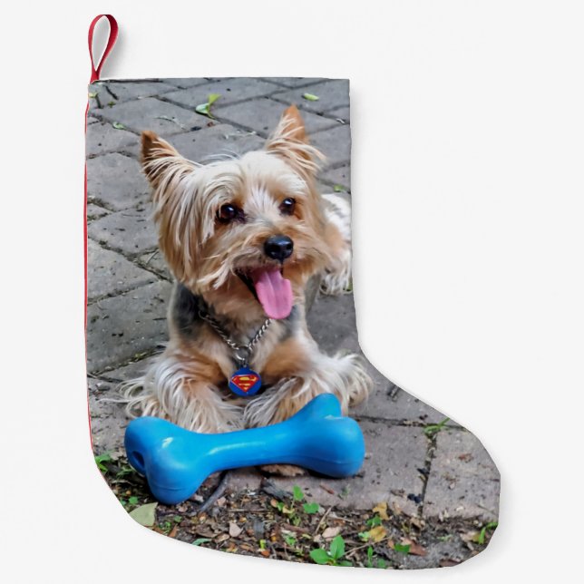 Petite Chaussette De Noël Cute Terrier (Devant)