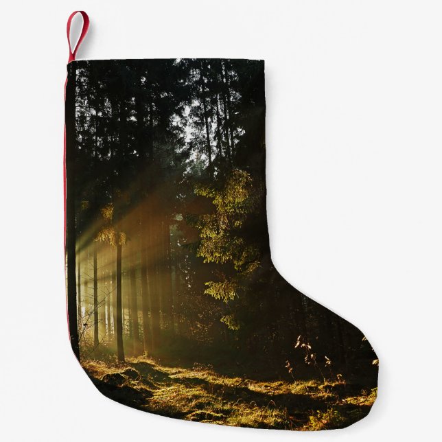 PETITE CHAUSSETTE DE NOËL DES RAYONS SOLEIL PIERÇANT À TRAVERS DES ARBRES (Devant)