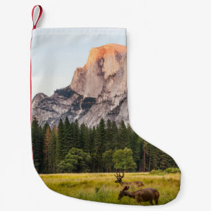 PETITE CHAUSSETTE DE NOËL DEUX CERFS DEVANT LA DEMI-DOME DANS LA VALLÉE YOS