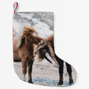 PETITE CHAUSSETTE DE NOËL DEUX CHEVAUX BROWN SUR LE TERRAIN