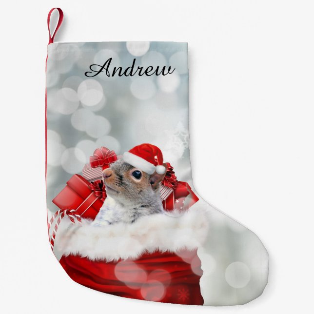 Petite Chaussette De Noël Écureuil de Noël (Devant)
