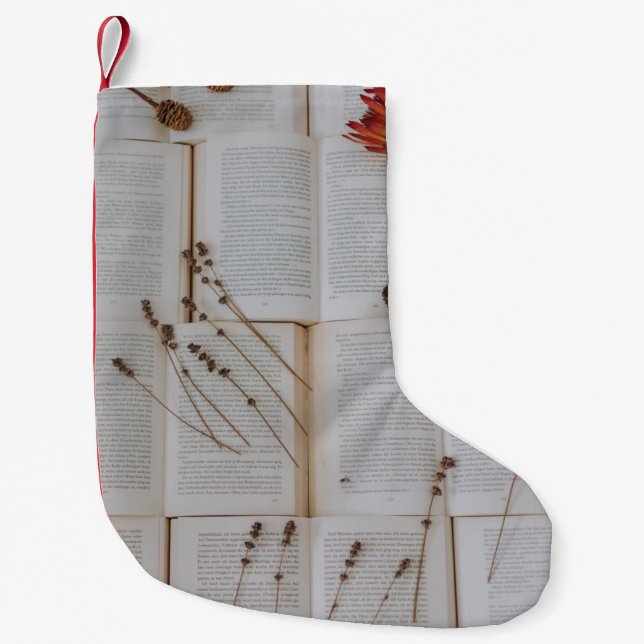 Petite Chaussette De Noël Fleurs séchées sur les livres (Devant)