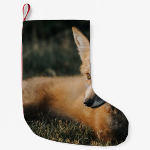 Petite Chaussette De Noël FOX Brown AU SOL