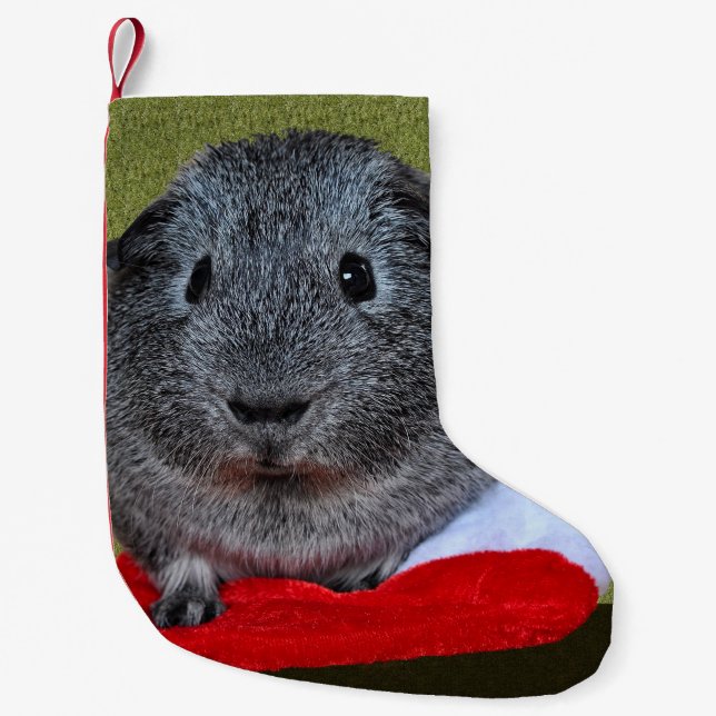 Petite Chaussette De Noël Guinea Pig Christmas (Devant)