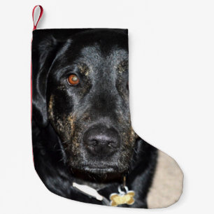 Petite Chaussette De Noël Jolie éclaboussure de fille