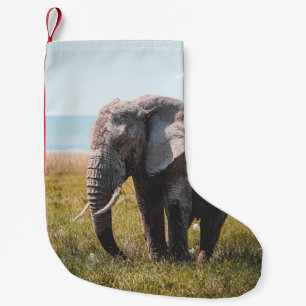 PETITE CHAUSSETTE DE NOËL JOLIMENT ÉLÉPHANT