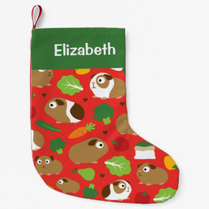 Petite Chaussette De Noël Les Cochons De Guinée Et Leurs Traitements Motifs