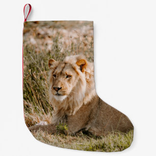 PETITE CHAUSSETTE DE NOËL LION EN GRAS