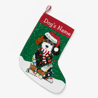 Petite Chaussette De Noël Lumières de Noël personnalisées Bernedoodle