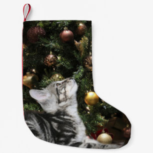 Petite Chaussette De Noël Minou tigré