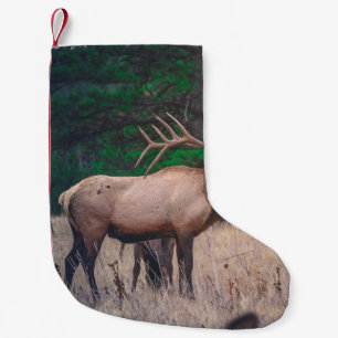 Petite Chaussette De Noël MOUSSE Brown PRÈS DE L'ARBRE VERT EN JOUR