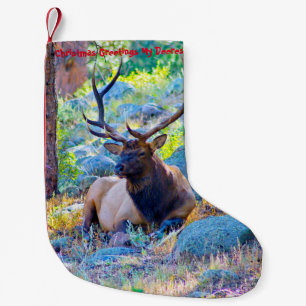 Petite Chaussette De Noël Noël Attrape Mon Vieux Désert