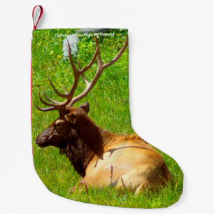 Petite Chaussette De Noël Noël Attrape Mon Vieux Désert