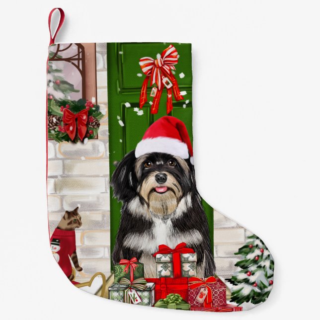 Petite Chaussette De Noël Noël de chien Havanais (Devant)