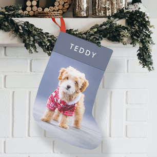 Petite Chaussette De Noël Noël de chien   Moderne Cute Blue Pet Photo Petit