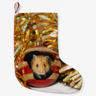 Petite Chaussette De Noël Noël de hamster