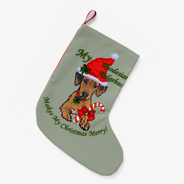 Petite Chaussette De Noël Noël de Rhodesian Ridgeback (Devant (Accrochage))