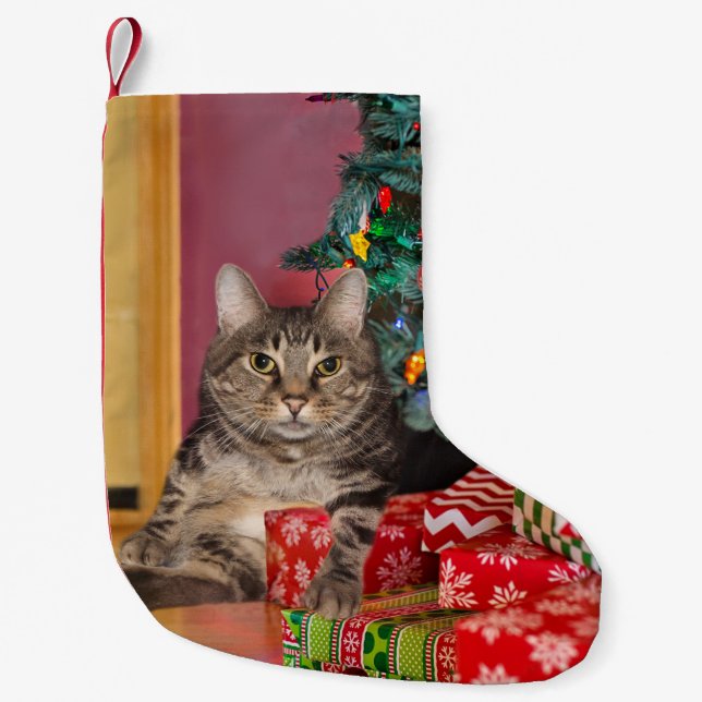 Petite Chaussette De Noël Noël de Tabby Kitty (Devant)
