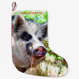 Petite Chaussette De Noël Noël Embrasse Mon Vieux Sanglier