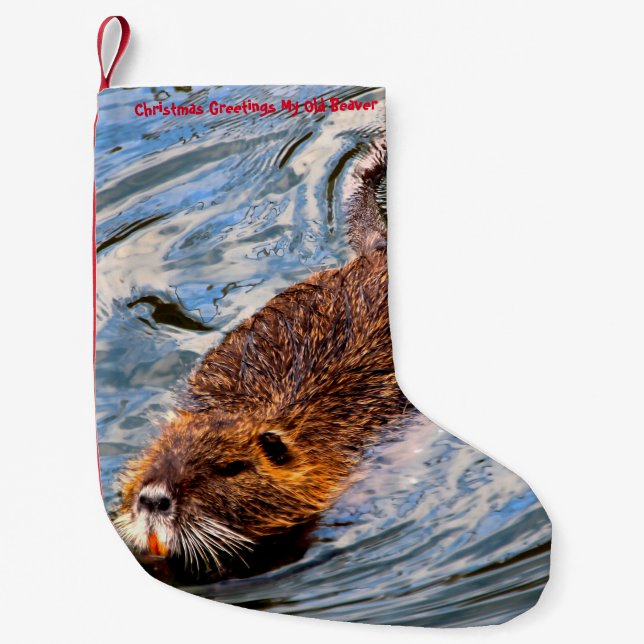 Petite Chaussette De Noël Noël Stocker Mon Vieux Castor (Devant)
