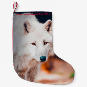 Petite Chaussette De Noël Noël Stocker Mon Vieux Castor