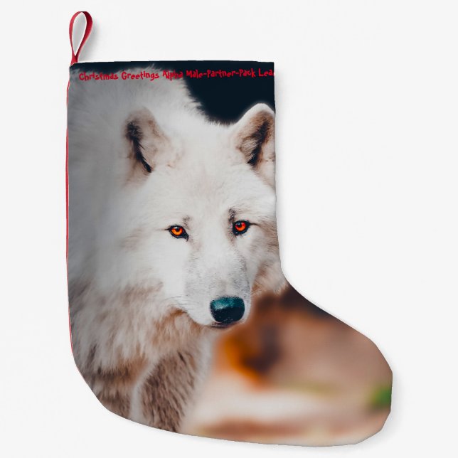 Petite Chaussette De Noël Noël Stocker Mon Vieux Castor (Devant)