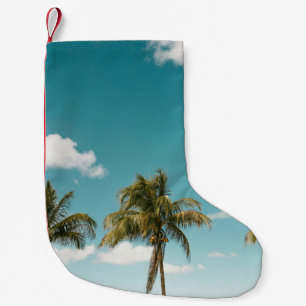 Petite Chaussette De Noël Palmier vert sous ciel bleu le matin
