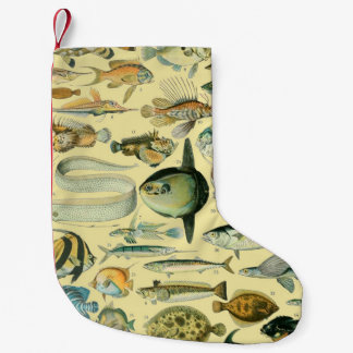 Petite Chaussette De Noël Pêche scientifique vintage