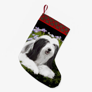 Petite Chaussette De Noël Peinture à collie à poils - Joli art original de c