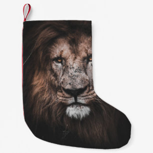 PETITE CHAUSSETTE DE NOËL PHOTO DE BROWN LION